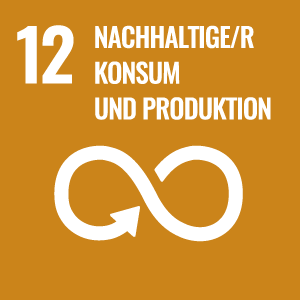 Agenda-2030 Ziel 12 Nachhaltiger Konsum und Produktion