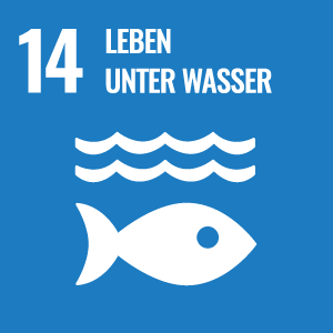 Agenda-2030 Ziel 14 Leben unter Wasser